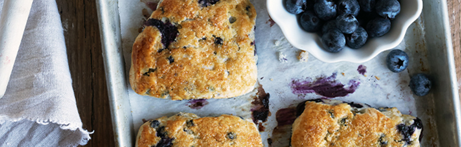 blueberry scones