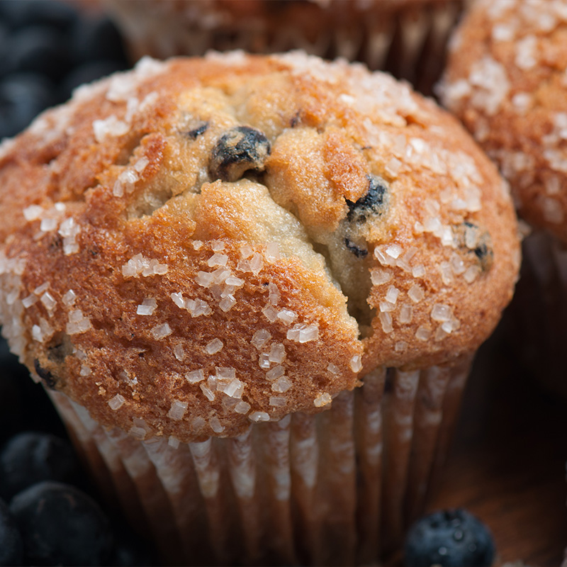 Jumbo Bakery Style Blueberry Muffins