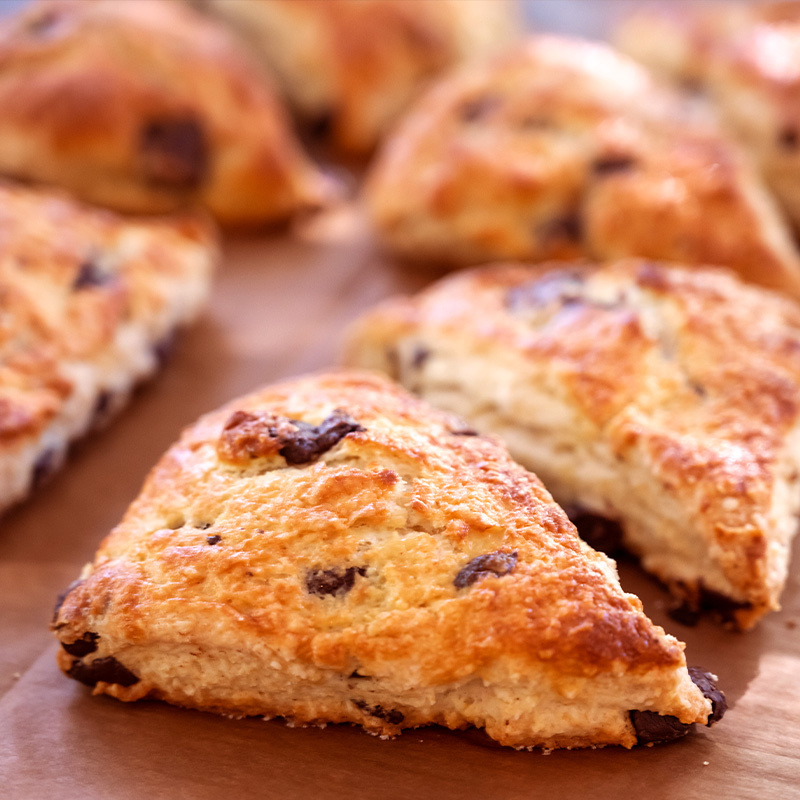 Pumpkin Spice Chocolate Chunk Scones